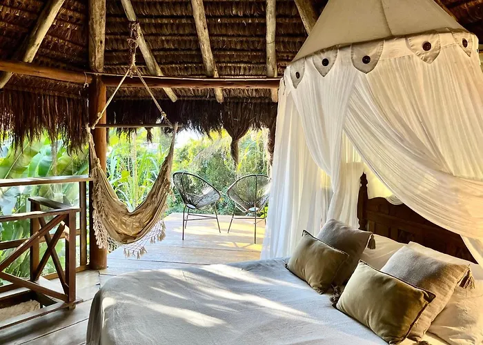 Casa de hóspedes: Jungle Lodge